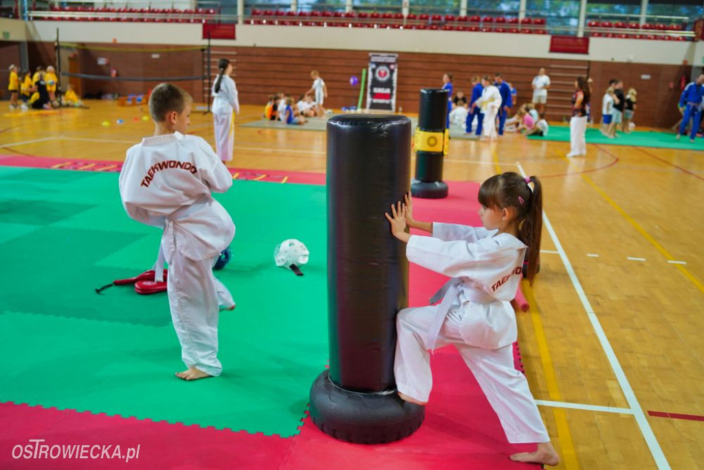 II Ostrowiecki Festiwal Sportu