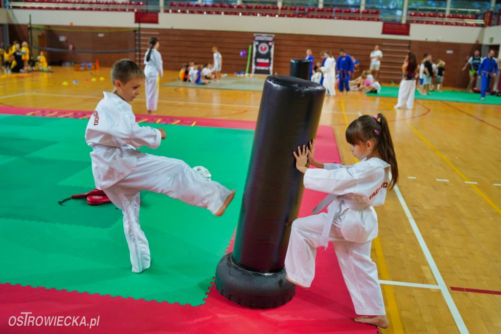 II Ostrowiecki Festiwal Sportu