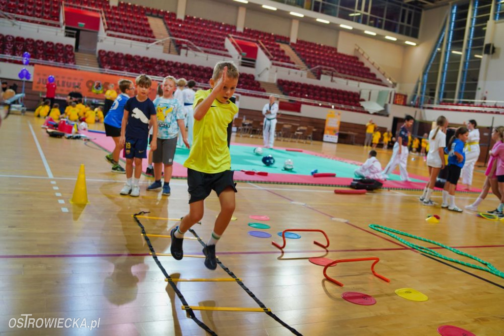 II Ostrowiecki Festiwal Sportu