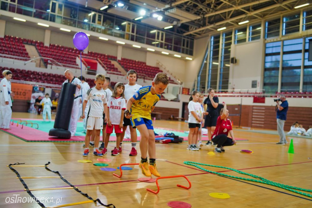 II Ostrowiecki Festiwal Sportu