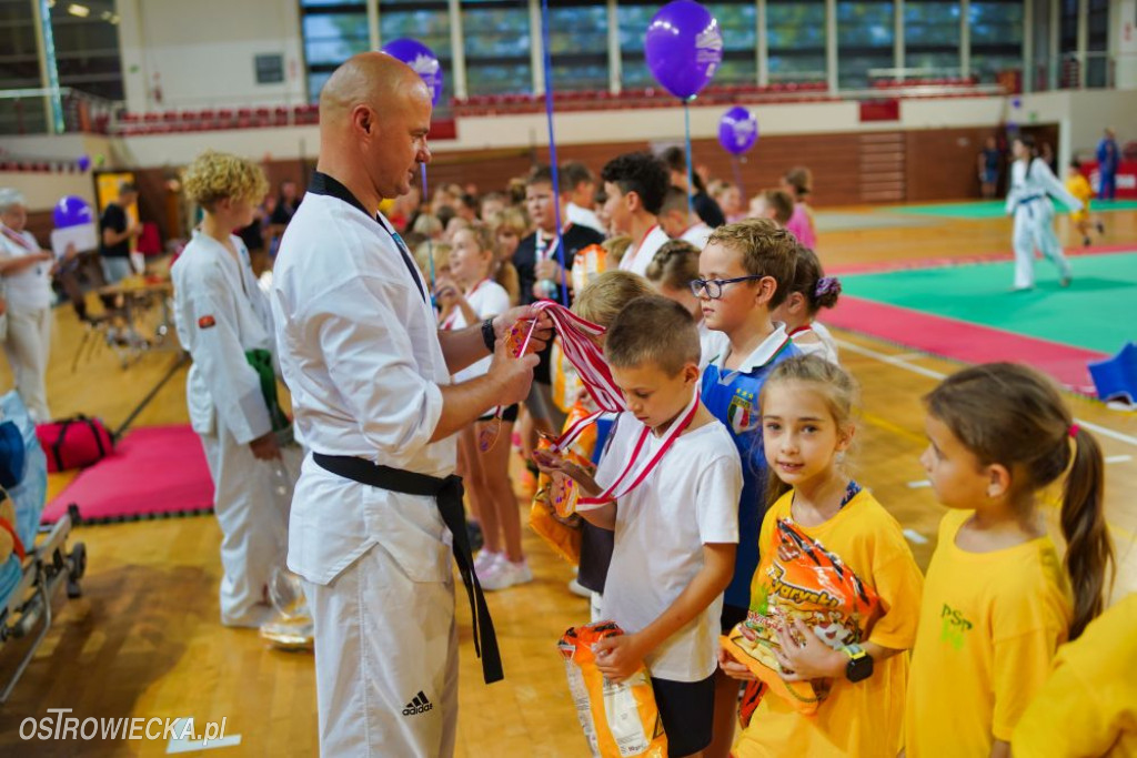 II Ostrowiecki Festiwal Sportu