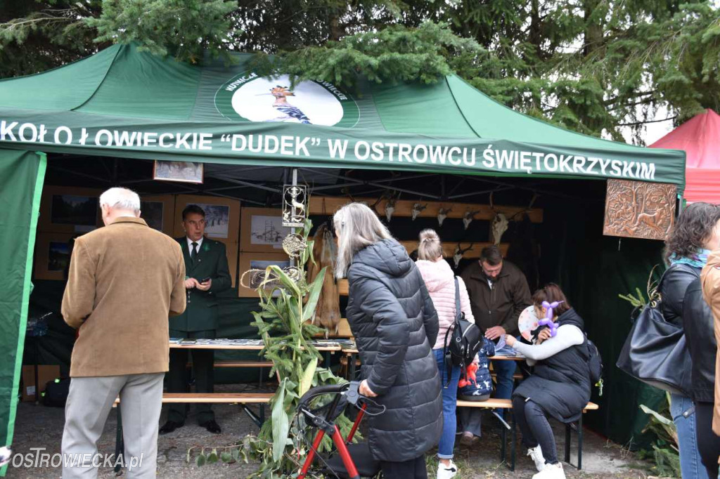 IX Ostrowiecki Hubertus