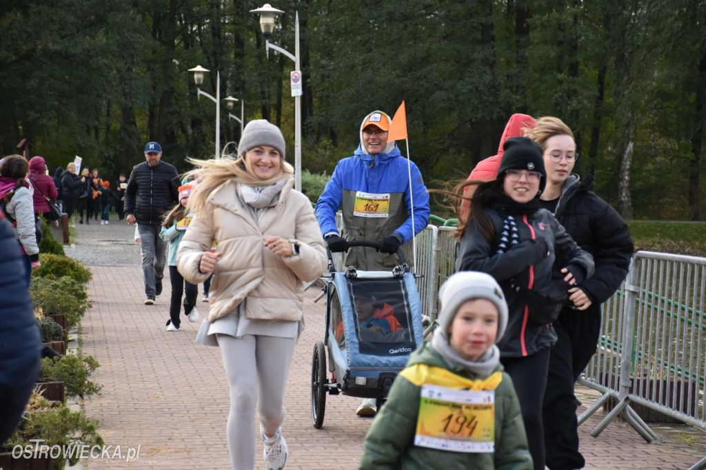 VI Dyniowy Bieg Po Szczęście