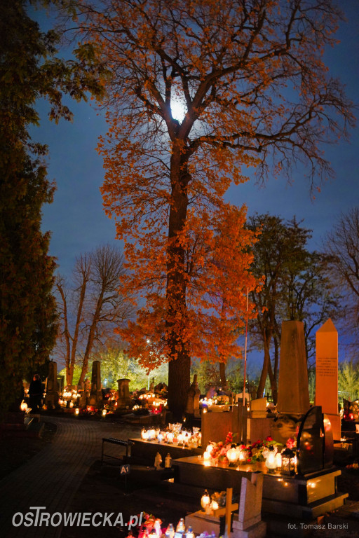 Cmentarz przy ul. Denkowskiej wieczorem