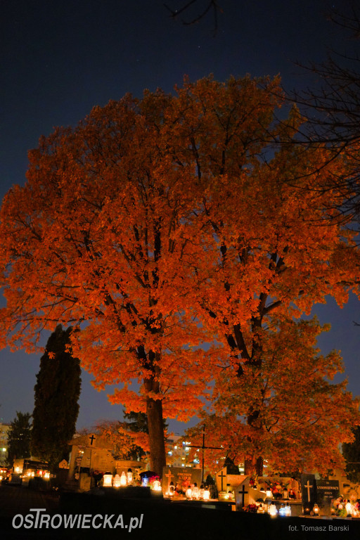 Cmentarz przy ul. Denkowskiej wieczorem