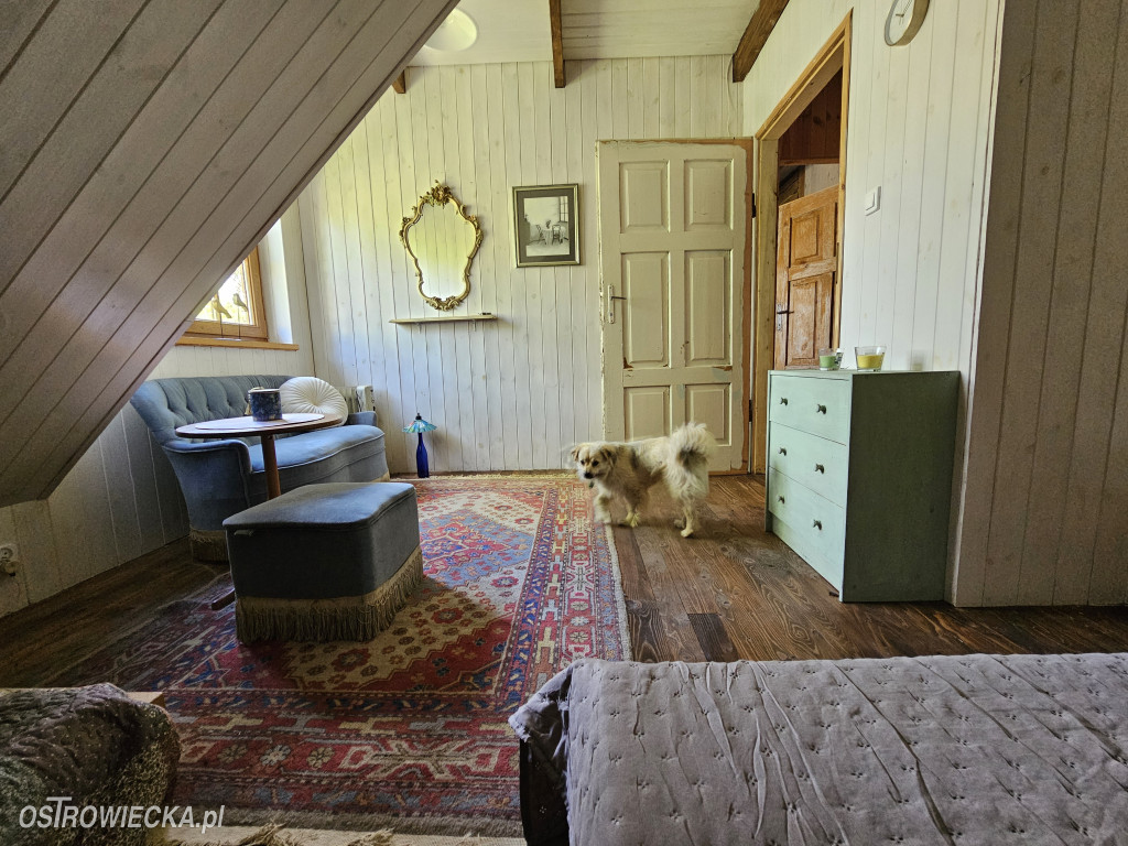 100-lecie Gałęziówki - domu z duszą