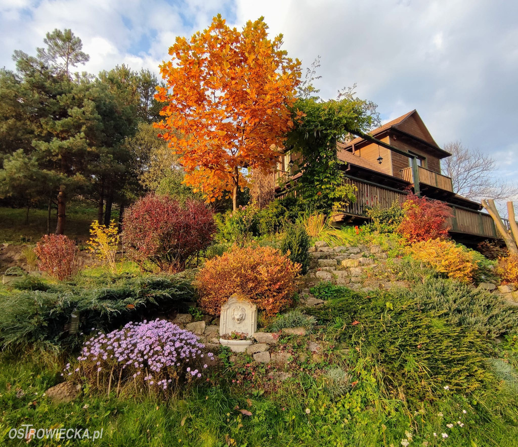 100-lecie Gałęziówki - domu z duszą