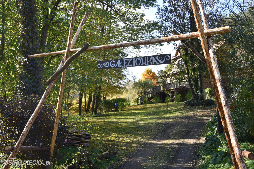 100-lecie Gałęziówki - domu z duszą