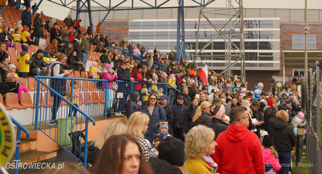 Ostrowieckie Biegi Niepodległości - Przedszkolaki