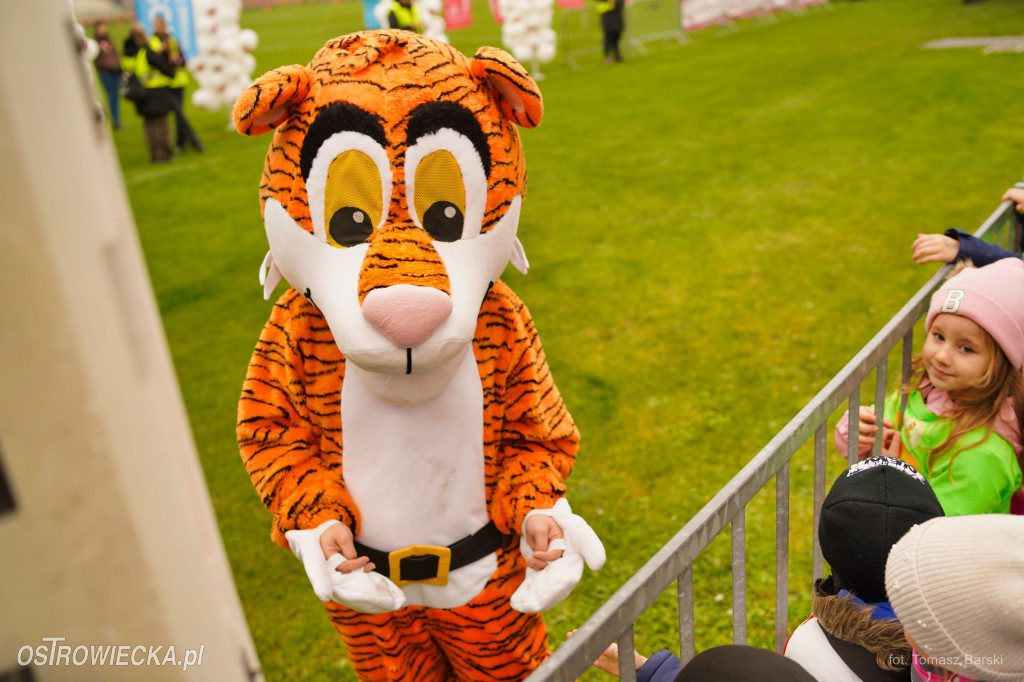 Ostrowieckie Biegi Niepodległości - Przedszkolaki