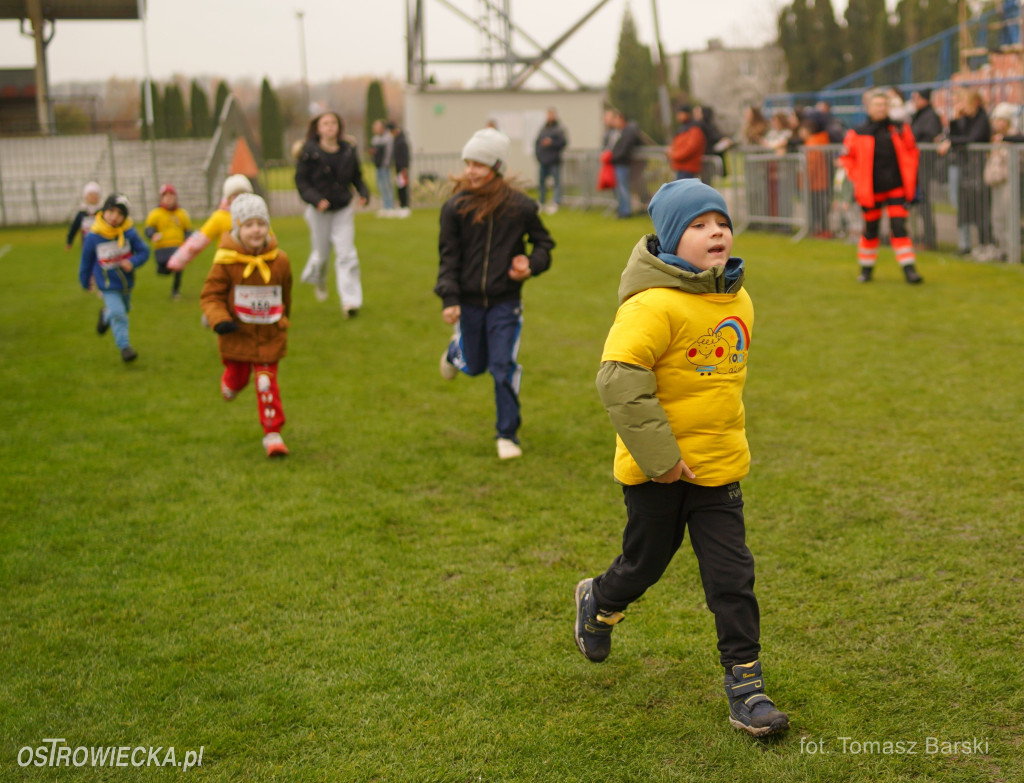 Ostrowieckie Biegi Niepodległości - Przedszkolaki