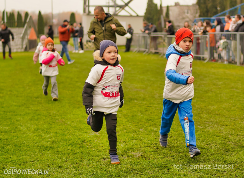 Ostrowieckie Biegi Niepodległości - Przedszkolaki