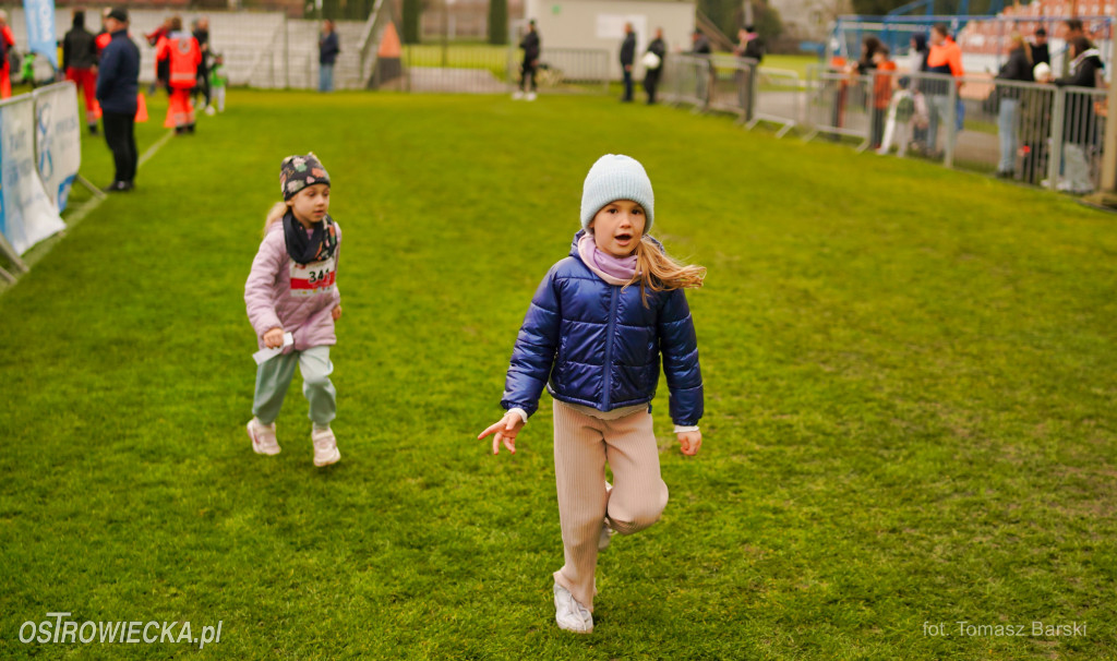 Ostrowieckie Biegi Niepodległości - Przedszkolaki