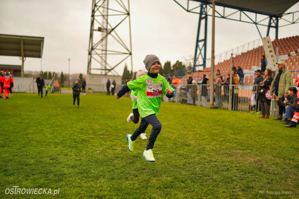 Ostrowieckie Biegi Niepodległości - Przedszkolaki