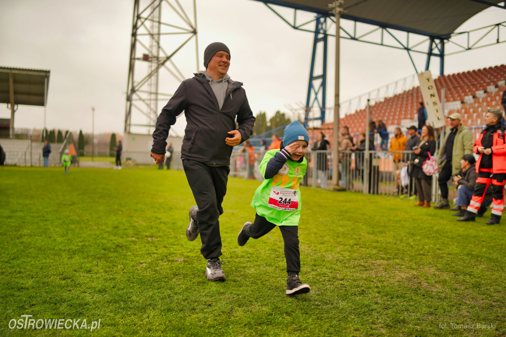 Ostrowieckie Biegi Niepodległości - Przedszkolaki