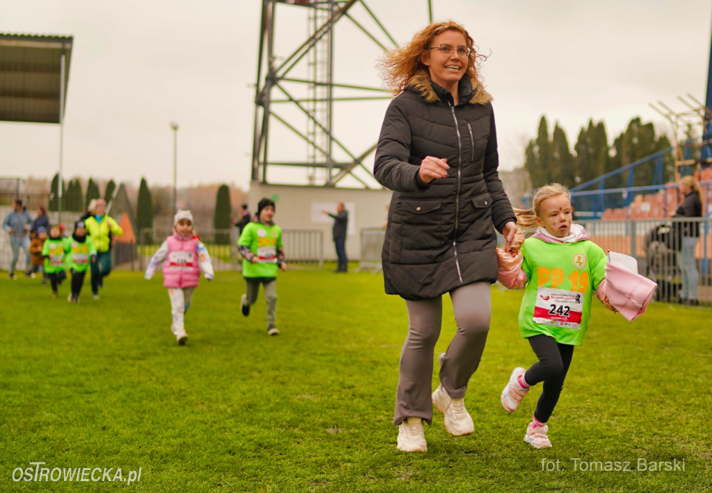 Ostrowieckie Biegi Niepodległości - Przedszkolaki