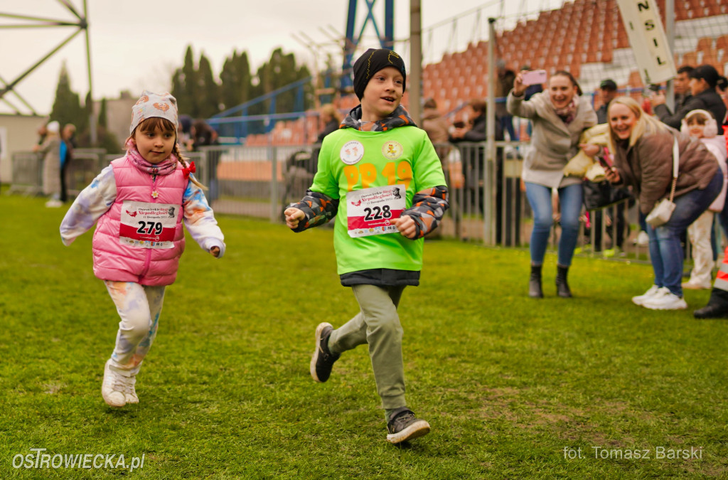 Ostrowieckie Biegi Niepodległości - Przedszkolaki