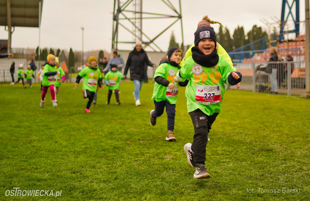 Ostrowieckie Biegi Niepodległości - Przedszkolaki