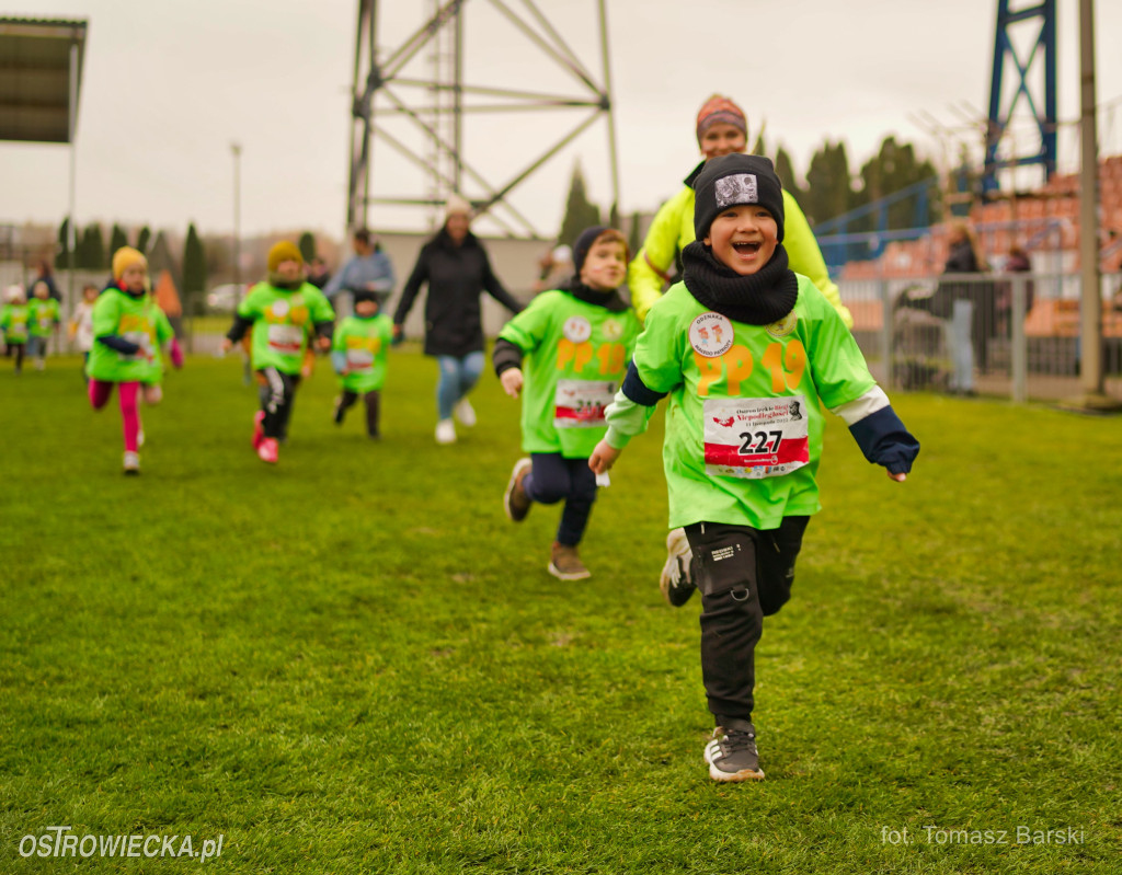 Ostrowieckie Biegi Niepodległości - Przedszkolaki