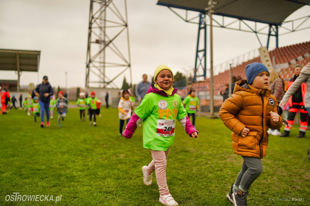 Ostrowieckie Biegi Niepodległości - Przedszkolaki
