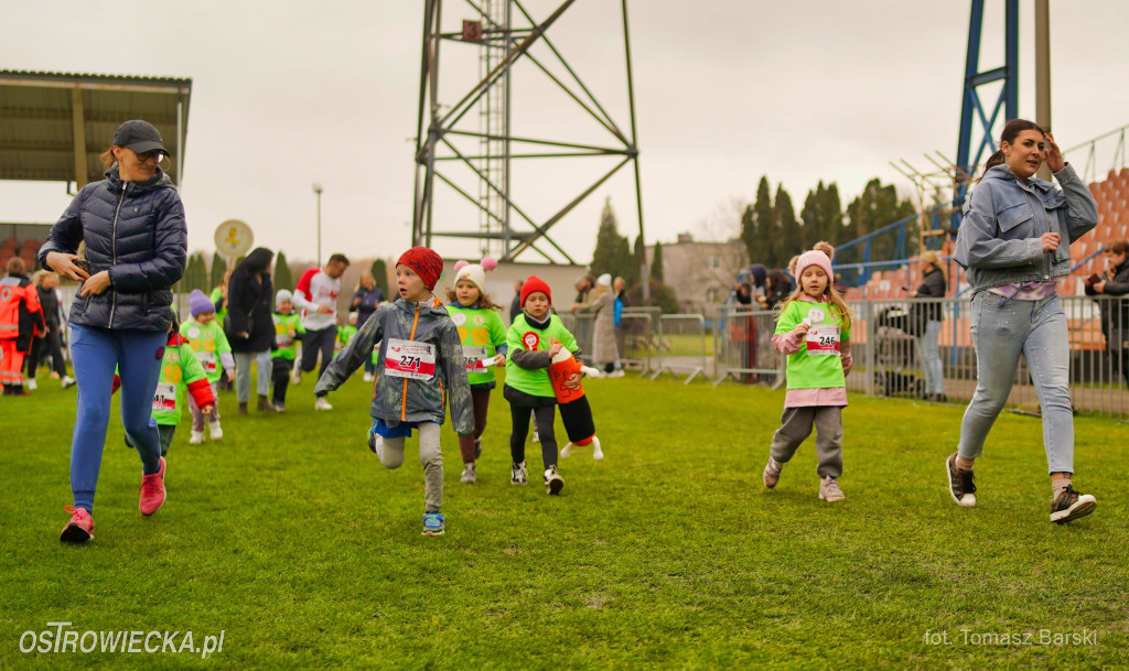 Ostrowieckie Biegi Niepodległości - Przedszkolaki