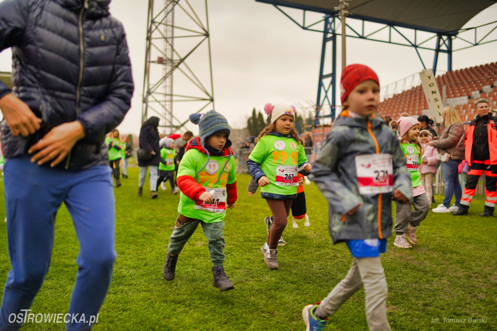Ostrowieckie Biegi Niepodległości - Przedszkolaki