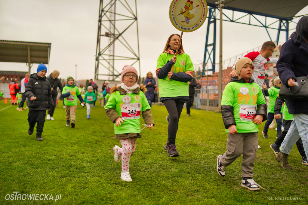 Ostrowieckie Biegi Niepodległości - Przedszkolaki