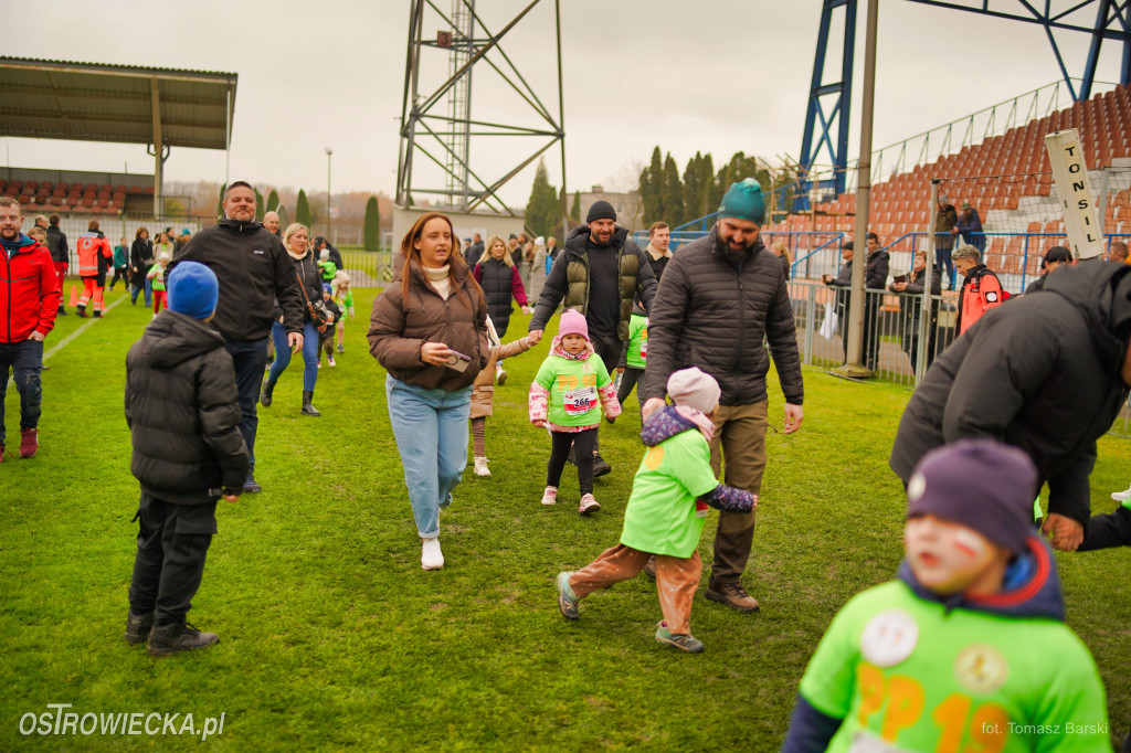 Ostrowieckie Biegi Niepodległości - Przedszkolaki