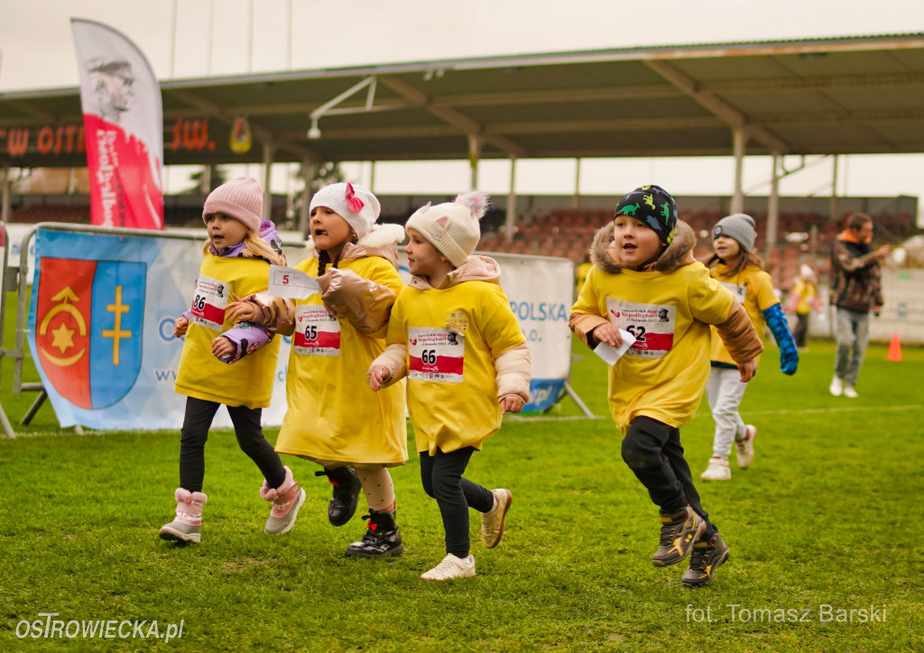 Ostrowieckie Biegi Niepodległości - Przedszkolaki