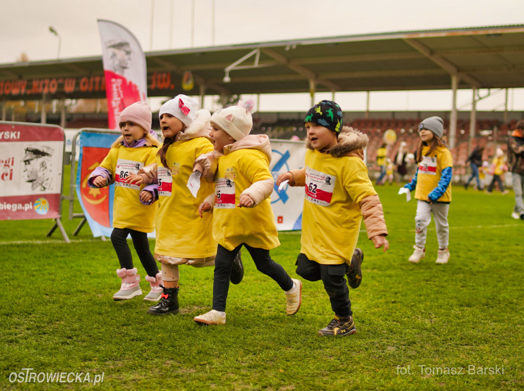Ostrowieckie Biegi Niepodległości - Przedszkolaki