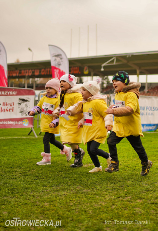 Ostrowieckie Biegi Niepodległości - Przedszkolaki