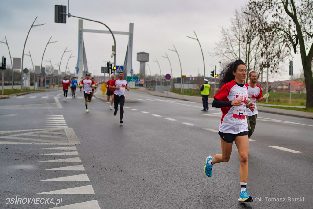 Ostrowieckie Biegi Niepodległości
