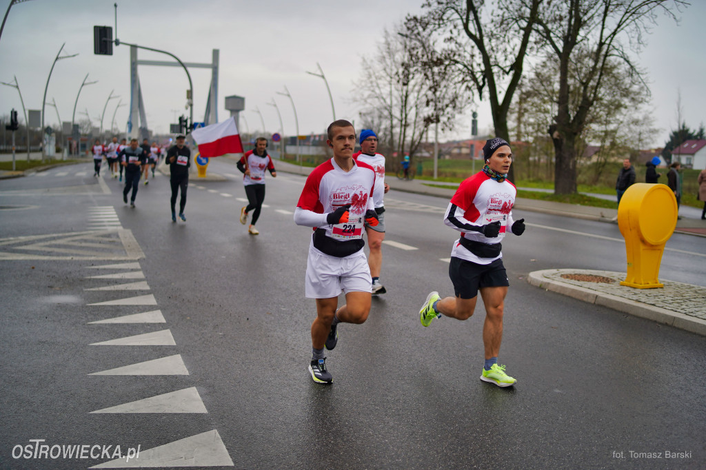 Ostrowieckie Biegi Niepodległości