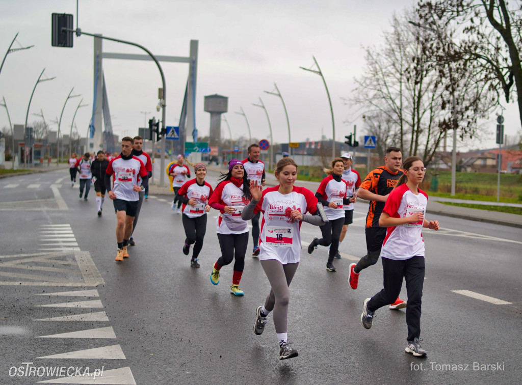 Ostrowieckie Biegi Niepodległości