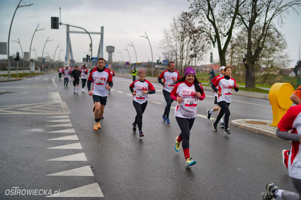 Ostrowieckie Biegi Niepodległości