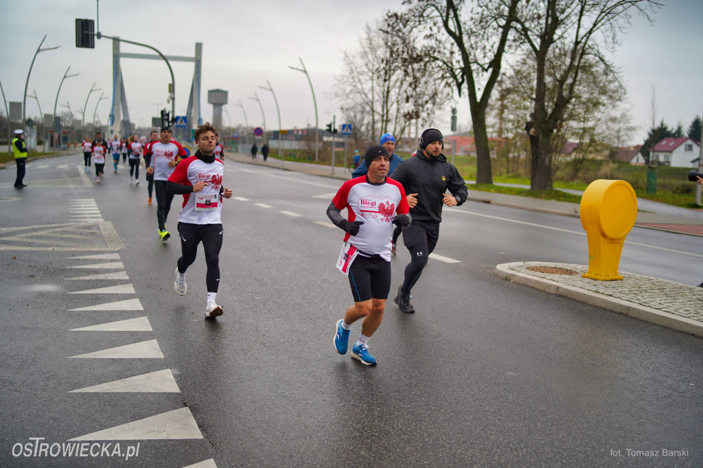 Ostrowieckie Biegi Niepodległości