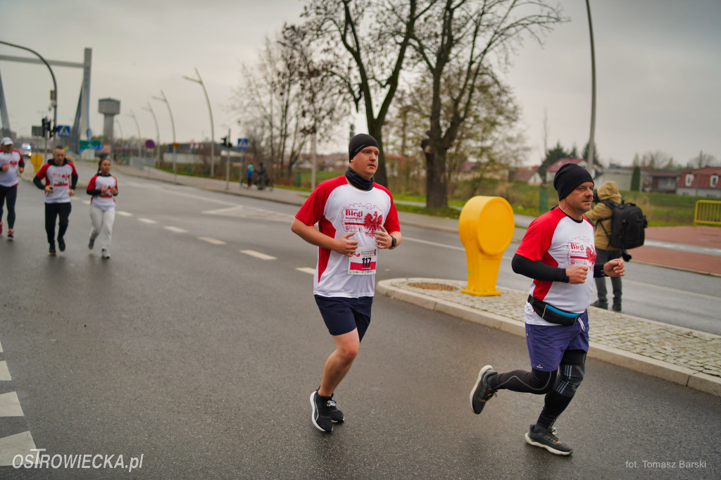Ostrowieckie Biegi Niepodległości