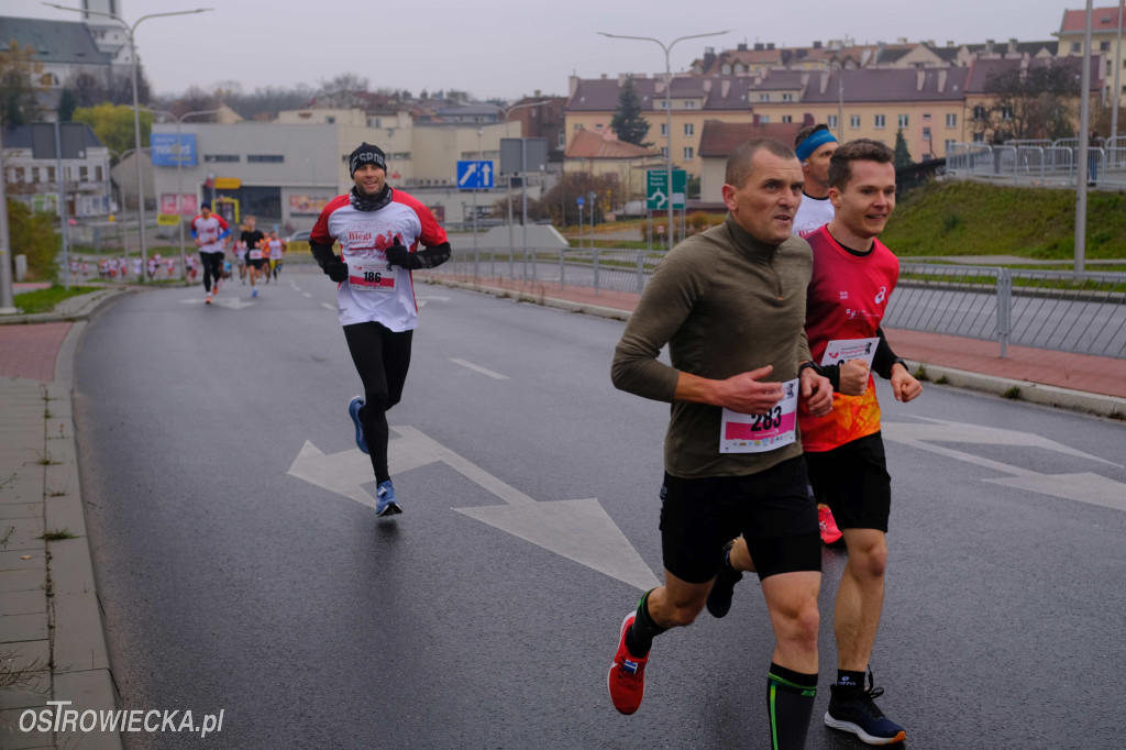 Ostrowieckie Biegi Niepodległości