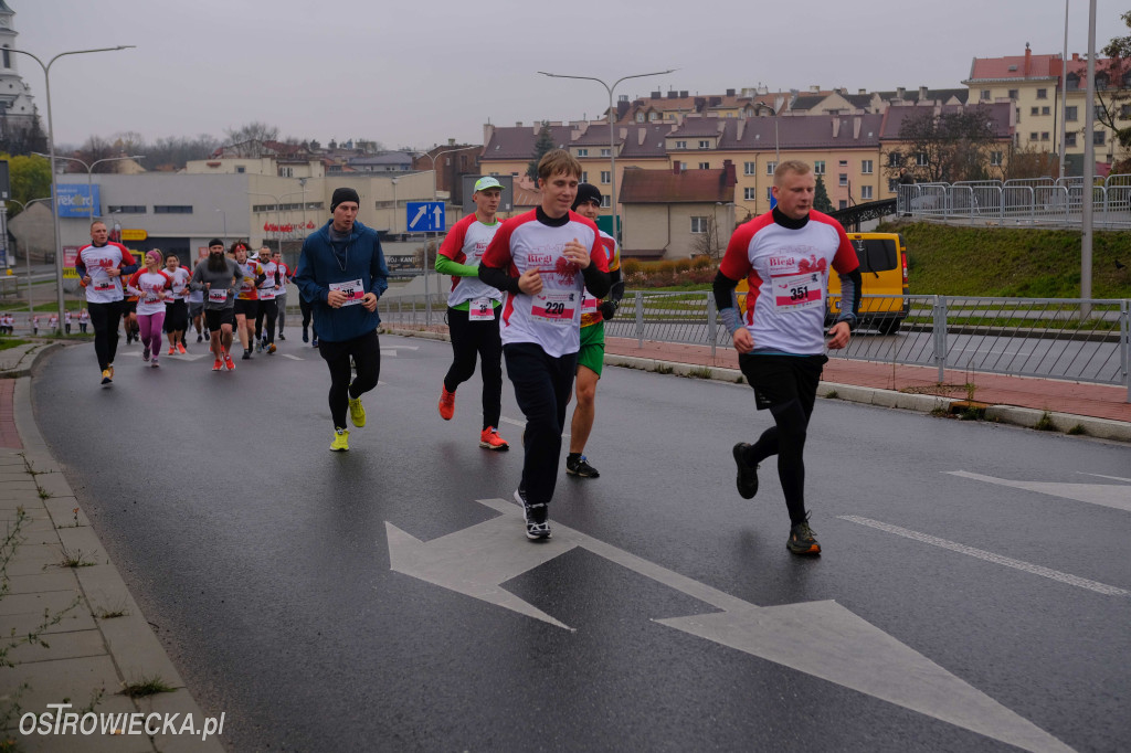 Ostrowieckie Biegi Niepodległości
