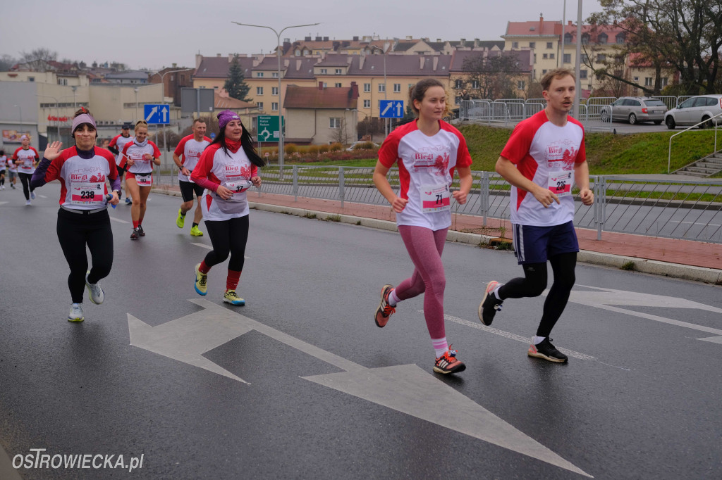 Ostrowieckie Biegi Niepodległości