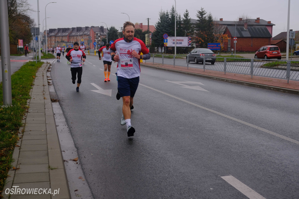 Ostrowieckie Biegi Niepodległości