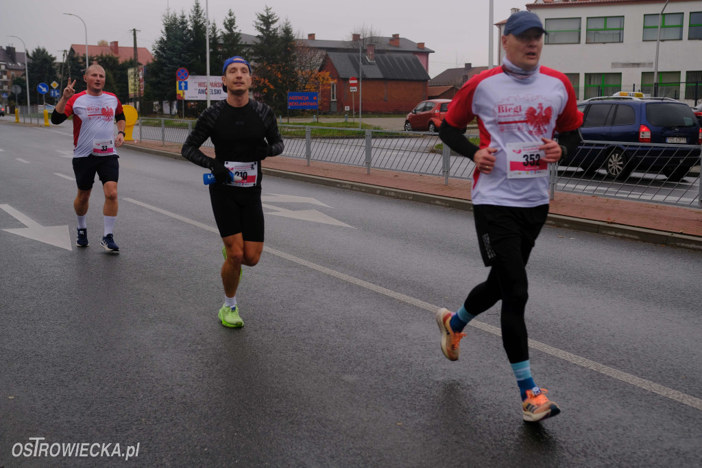 Ostrowieckie Biegi Niepodległości