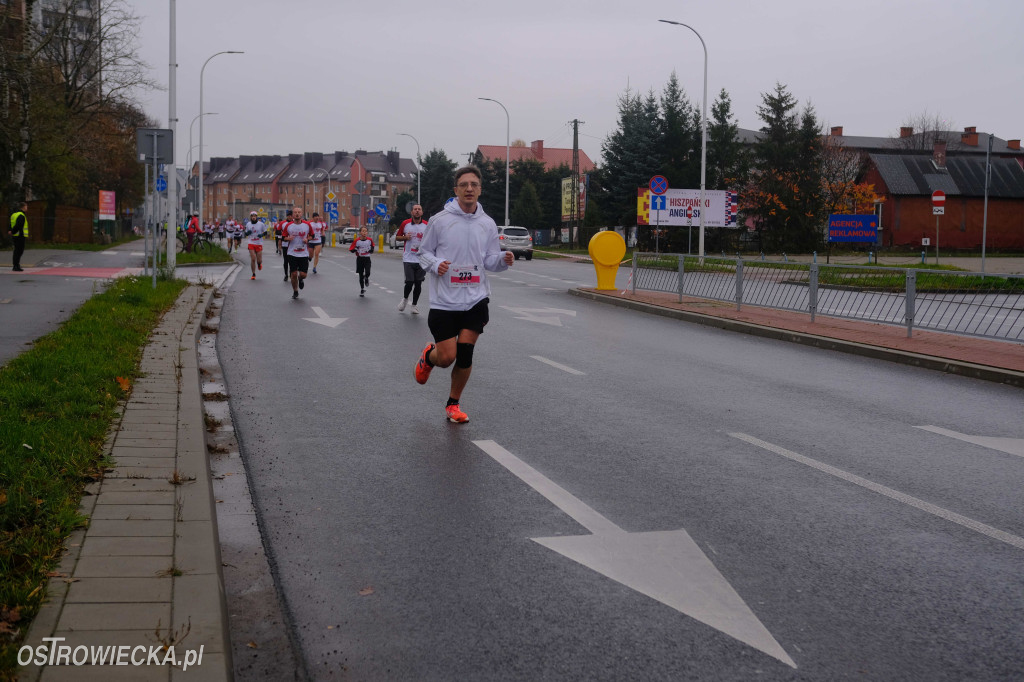 Ostrowieckie Biegi Niepodległości