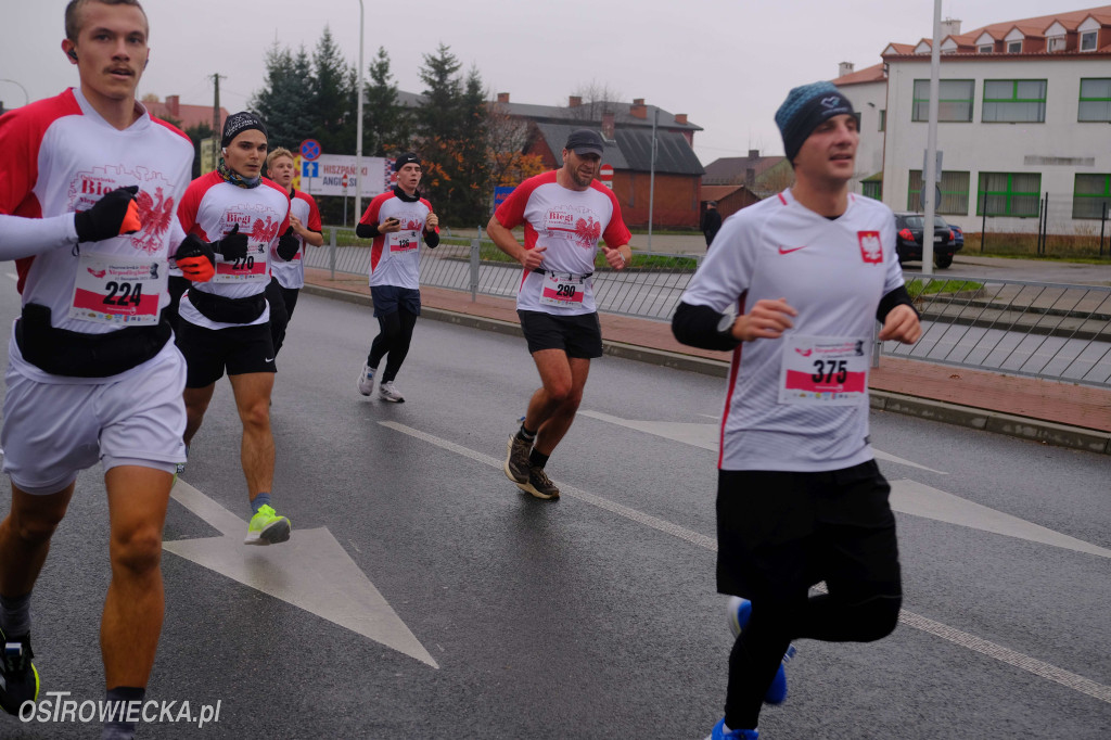 Ostrowieckie Biegi Niepodległości