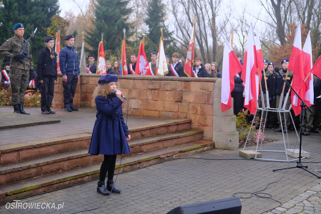 Święto Niepodległości
