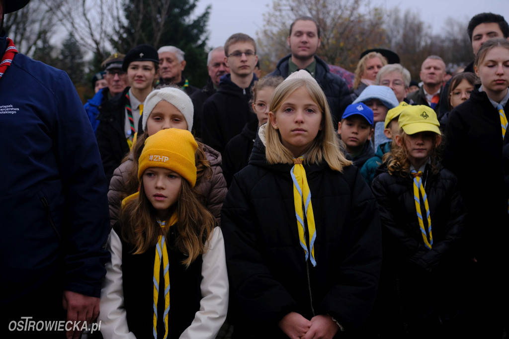 Święto Niepodległości