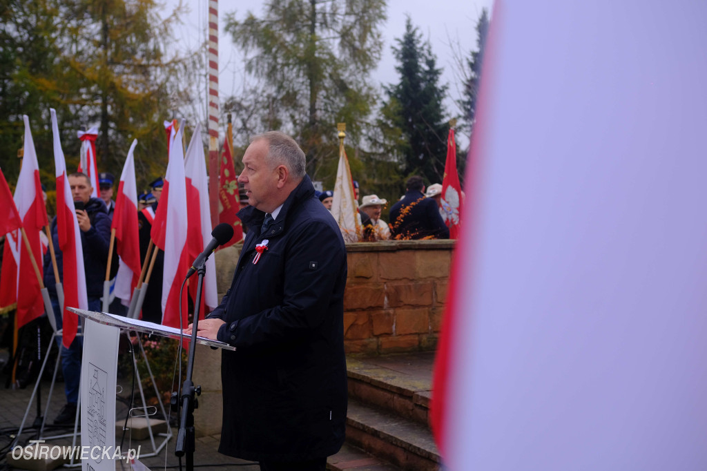 Święto Niepodległości