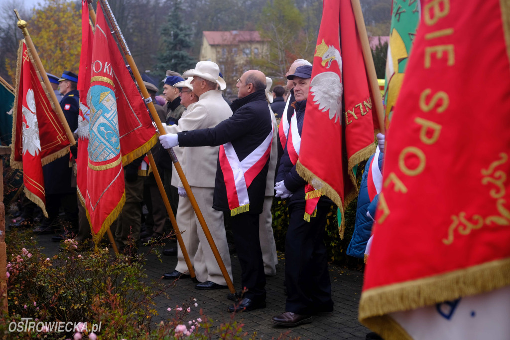 Święto Niepodległości