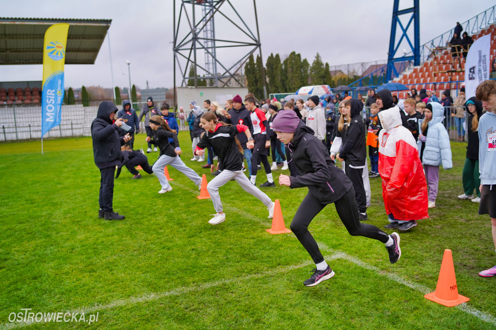 Podstawówki dla Niepodległej