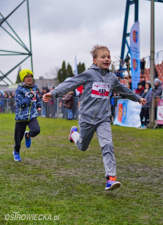 Podstawówki dla Niepodległej